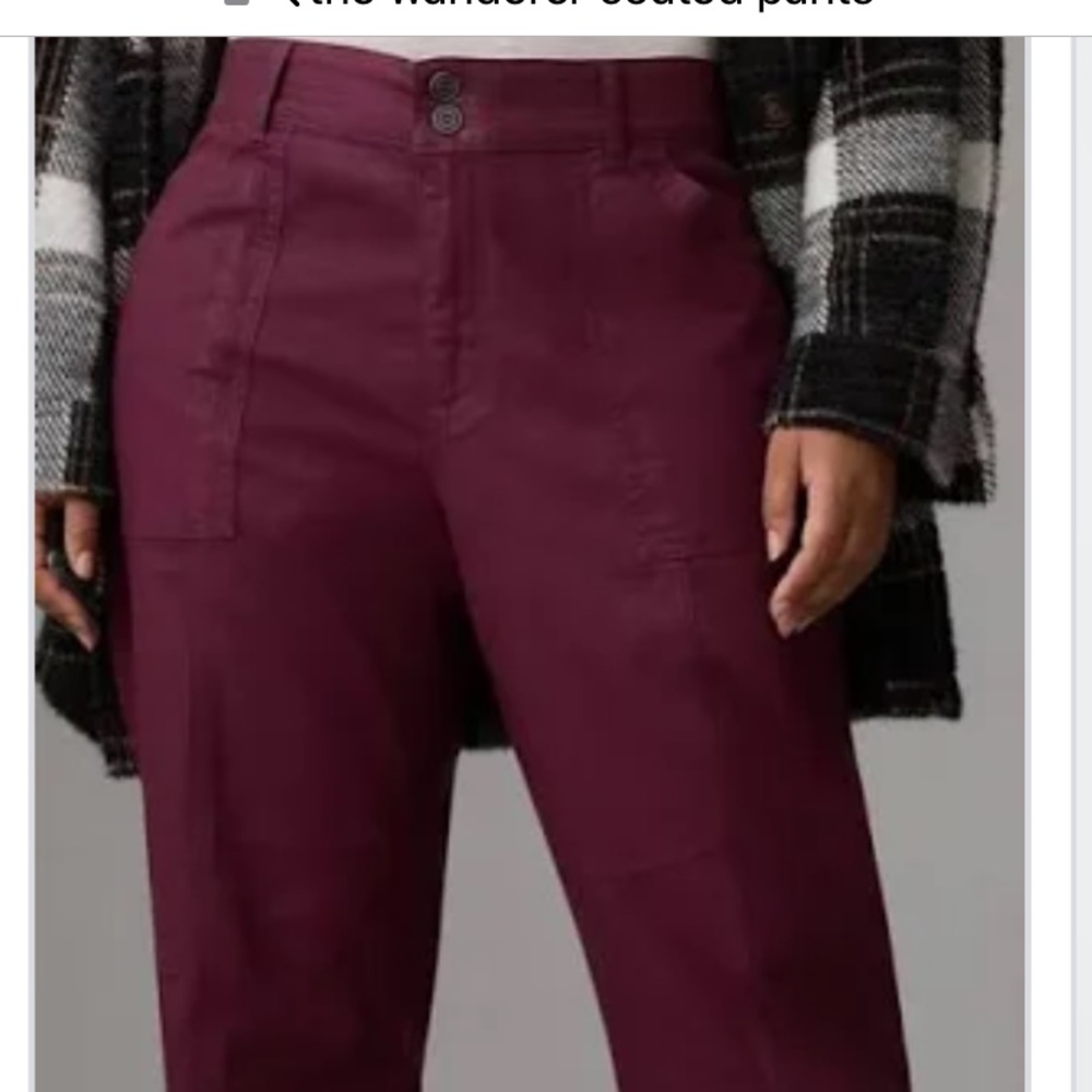 NWT Anthropologie Pilcro The Wanderer coated relaxed fit pants size 32P.